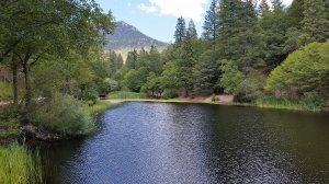Lake SBNF National Forest Stocked lake Southwest Tours