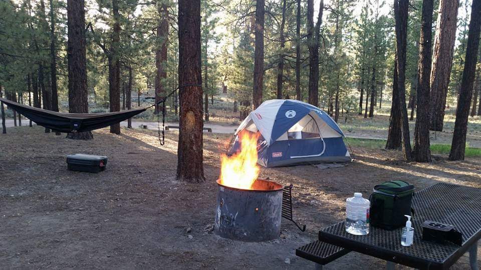 Camping in the forest