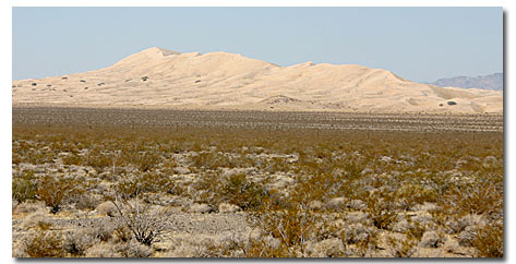 Kelso Sand Dunes